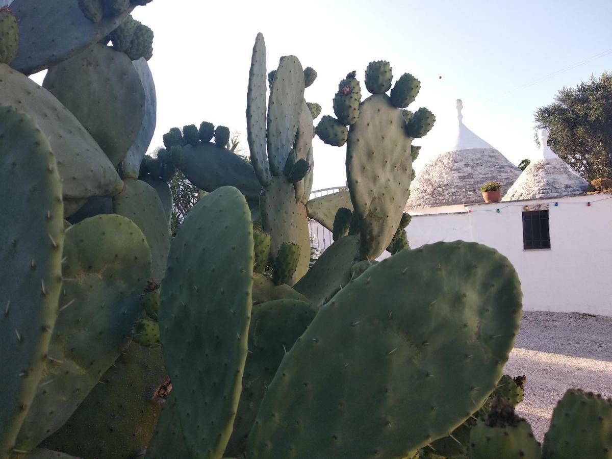 Piccolo Trullo Ostunese Le Jardin De Sophie' 오스투니 외부 사진