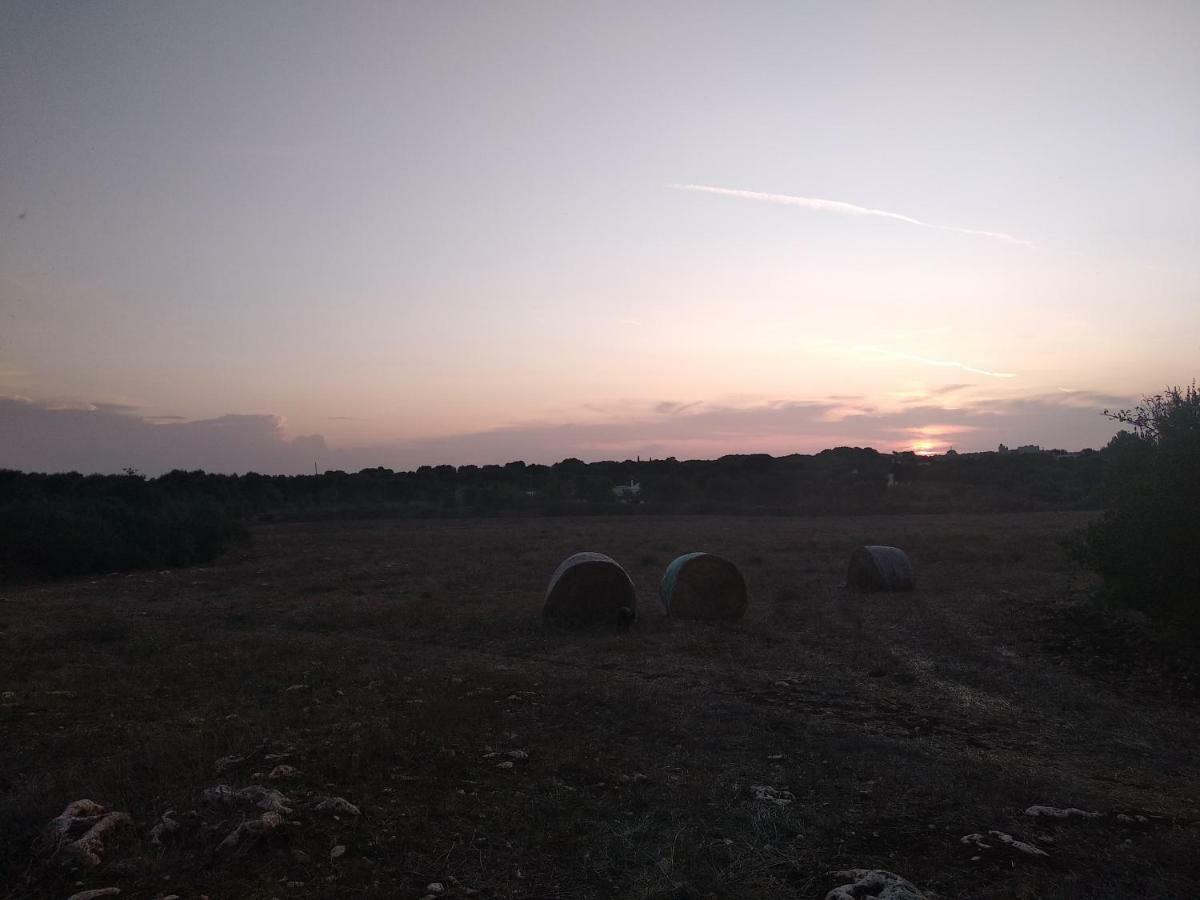 Piccolo Trullo Ostunese Le Jardin De Sophie' 오스투니 외부 사진